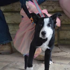 Meet your Posher, Terin